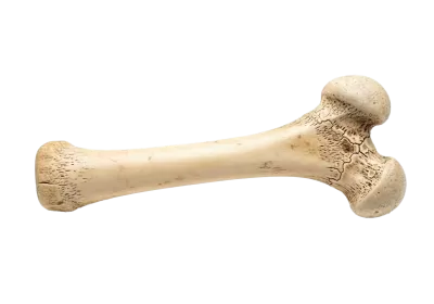 Imagen PNG para descargar